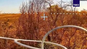 Бойцы "Днепра" уничтожили автотехнику, орудие, наблюдательный пункт и антенну ВСУ, сообщили в МО РФ