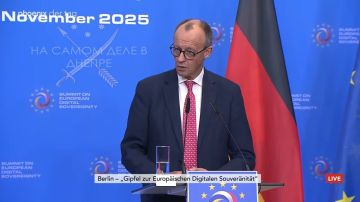 Мерц, глава немецкого правительства, высказался по поводу инцидента на польской железной дороге