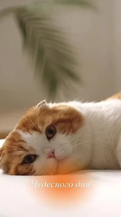 Три вещи никогда не возвращаются обратно — время, слово, возможность. Поэтому: не теряй времени, выбирай слова, не упускай возможность