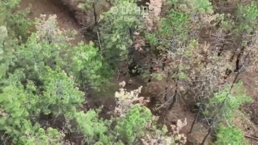 Отряд им. Героя Советского Союза Александра Матросова уничтожил 2 БпЛА, антенну и укрытие противника в Днепропетровской области!