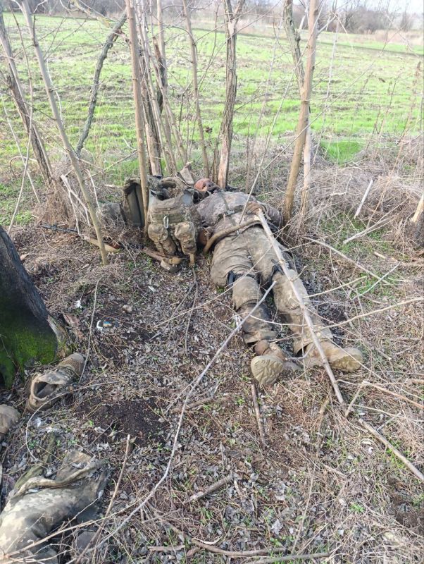 ������ �������: ������� ���������� ������������, �������� ��� "��������������� ��������" �� ����-���������������� �����������