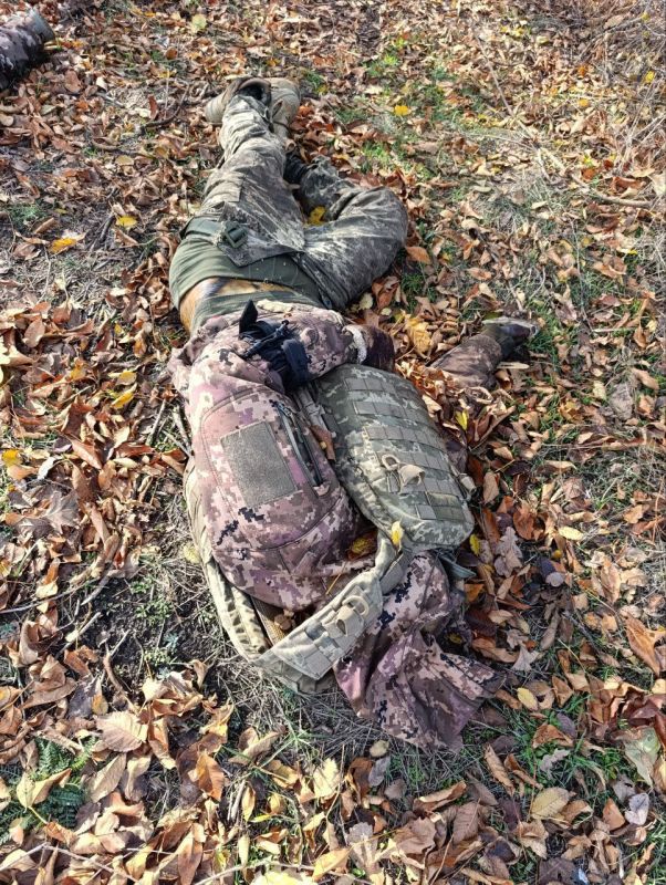 Боевики украинских формирований, попавшие под "Дальневосточный экспресс" на Южно-Днепропетровском направлении Боевики украинских формирований, попавшие под "Дальневосточный экспресс" на Южно-Днепропетровском направлении