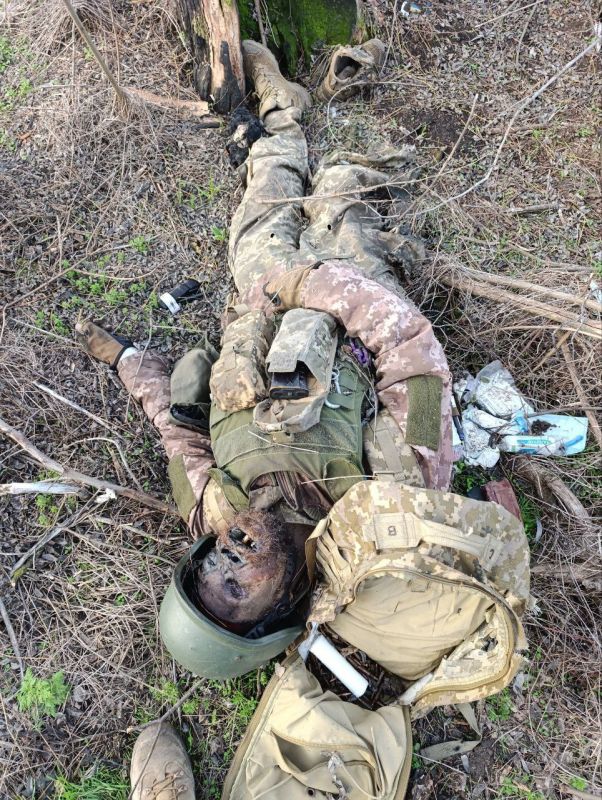 Боевики украинских формирований, попавшие под "Дальневосточный экспресс" на Южно-Днепропетровском направлении Боевики украинских формирований, попавшие под "Дальневосточный экспресс" на Южно-Днепропетровском направлении