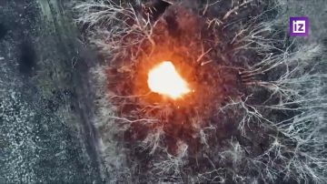 Кадры освобождения населённого пункта Радостное в Днепропетровской области опубликовало Минобороны РФ