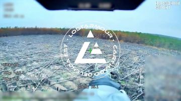 Противник прибегнул к тактике организации лесных завалов в полосе наступления ГВ "Восток"