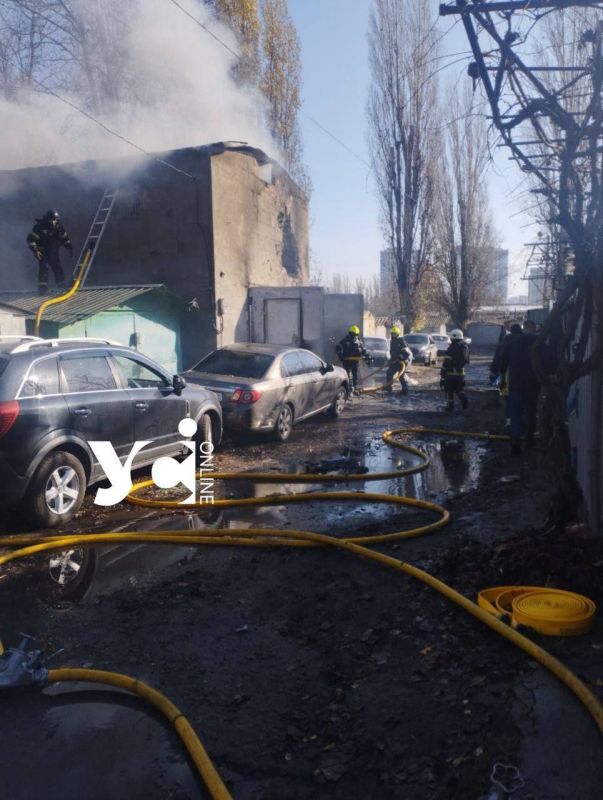 ������� ������ �� ���������� ������� 21 ������ � 22 ������ 2025 ����