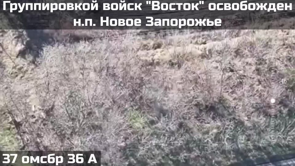 ПОДРАЗДЕЛЕНИЯМИ ГРУППИРОВКИ ВОЙСК "ВОСТОК" ОСВОБОЖДЕН ОЧЕРЕДНОЙ НАСЕЛЁННЫЙ ПУНКТ В ЗАПОРОЖСКОЙ ОБЛАСТИ