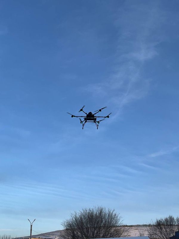 ���� �� 10-� ����� �����������, ����������� � ��������� ����������� �� ����-���������������� �����������