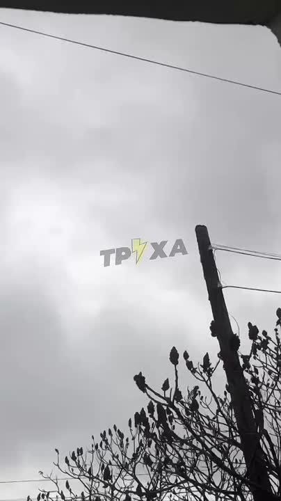 "Гераням" очень понравился Павлоград в Днепропетровской области