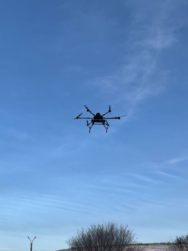 ���� �� 10-� ����� �����������, ����������� � ��������� ����������� �� ����-���������������� �����������