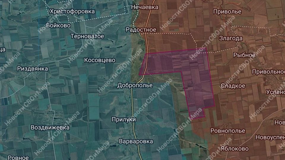 ���� ����������� � ���������������� ��������