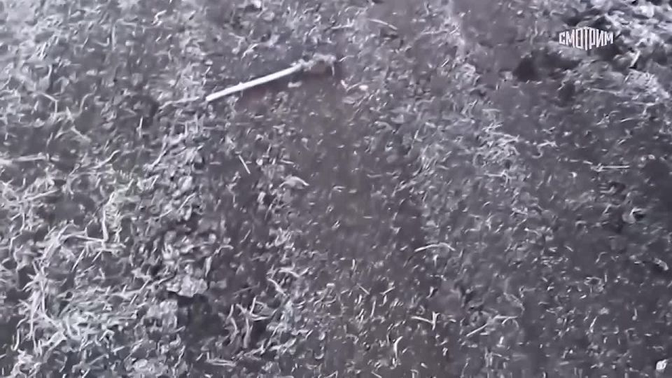 Военкор ВГТРК Григорий Вдовин стал первым среди журналистов, кто смог попасть на территорию Днепропетровской области