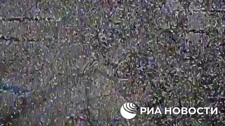 Эксклюзивы РИА Новости из зоны СВО в пятницу