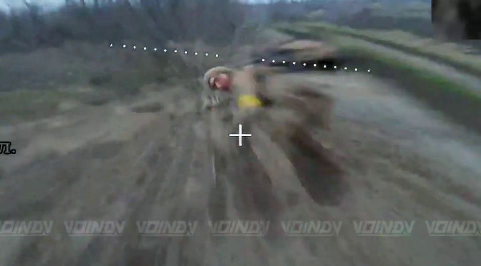 �������� �����: ������ ������� ���������� �� ������� ������� ��������� �� ���������������� �����������