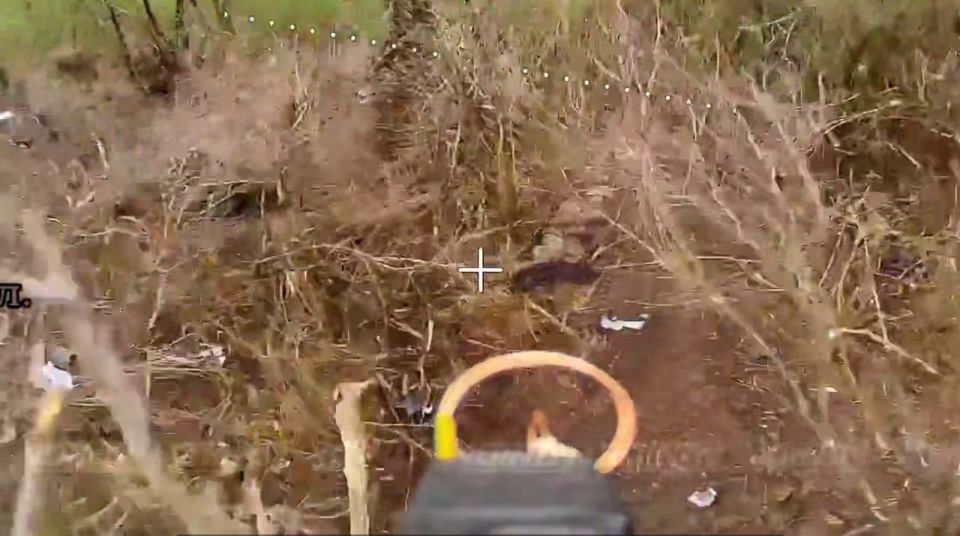 �������� �����: ������ ������� ���������� �� ������� ������� ��������� �� ���������������� �����������