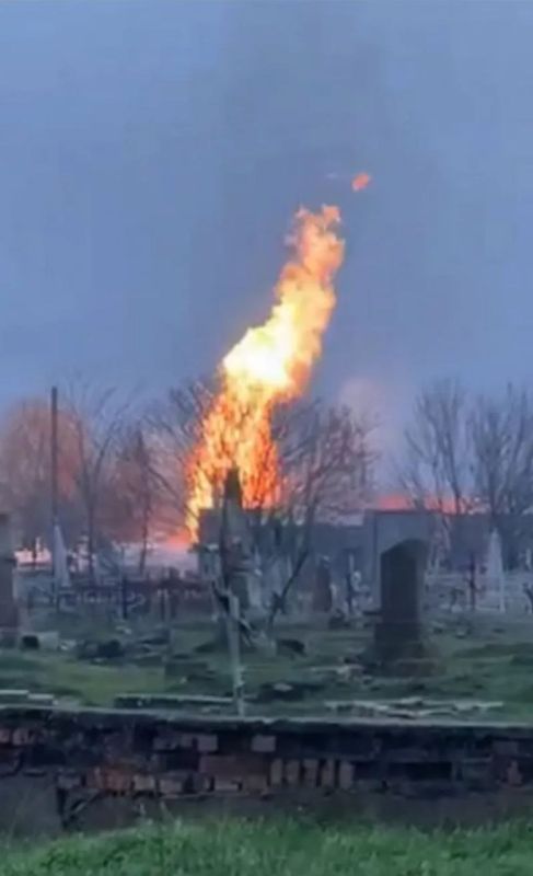 � ������� ������� ����� ����� ������� �� ���