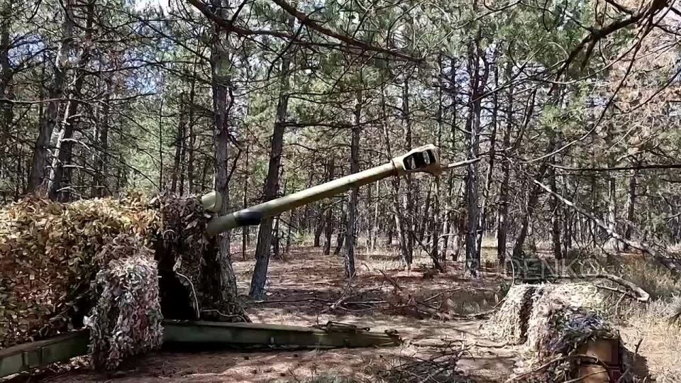 Андрей Руденко: В Запорожской области расчет орудия Д-30 58-й армии группировки войск «Днепр» уничтожил замаскированный блиндаж ВСУ, используя данные российской воздушной разведки