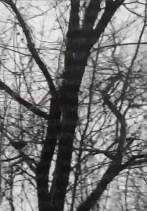 Кадры пролета крылатых ракет в районе Днепропетровска, полет дрона-камикадзе «Герань-2» над Черниговым, и поражение целей в Луцке