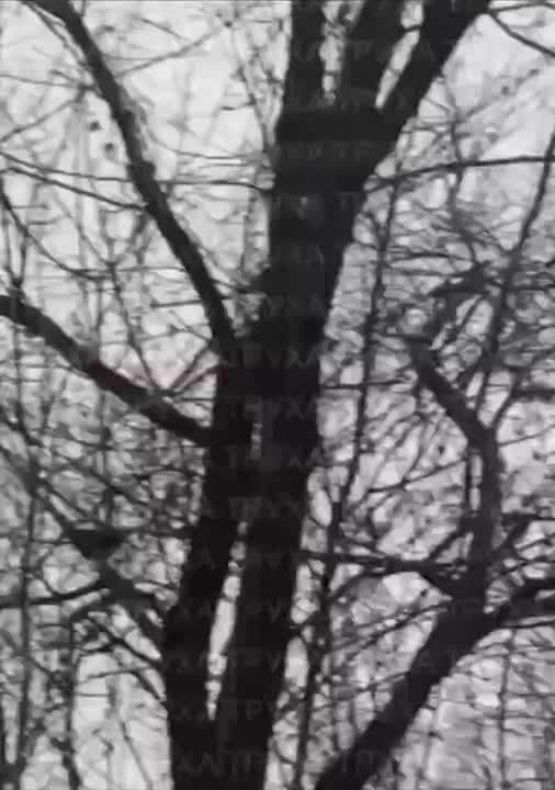 Видео прилета в Днепропетровске