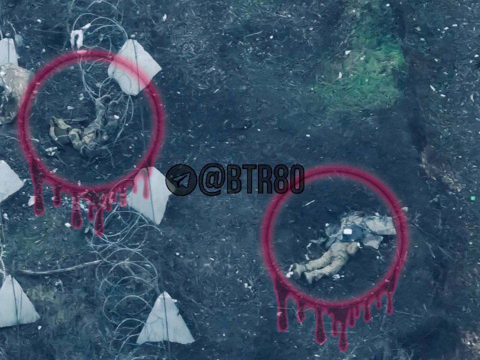 ������� �������: "�������� - �������!"