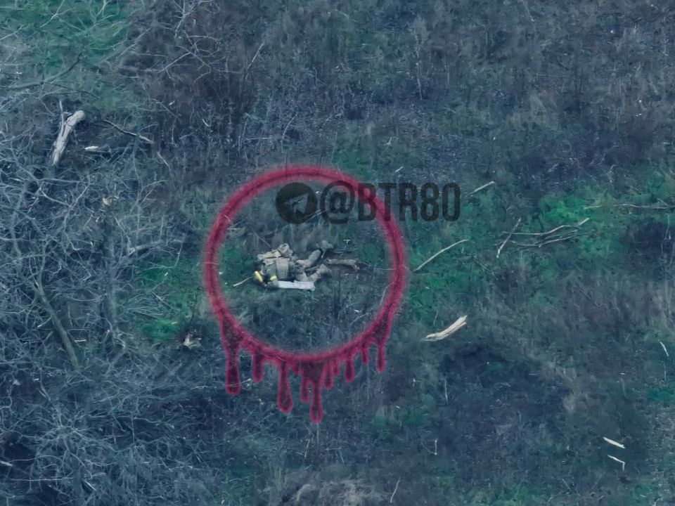 ������� �������: "�������� - �������!"