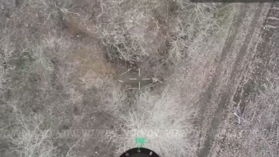 Операторы БПЛА 37 бригады 36 армии чистят местность в Днепропетровской области от украинских пехотинцев, брошенных в мясную контратаку