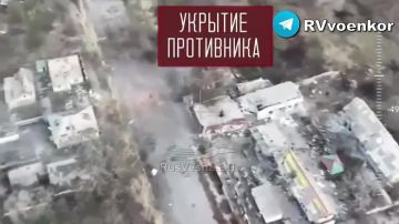 «тважные» штурмуют окружённый Мирноград и наступают в Днепропетровской области