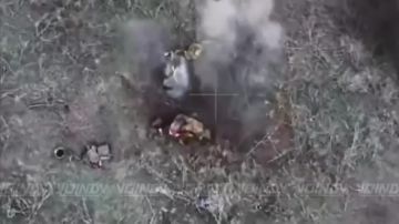  14      "",     36 ,        ,      