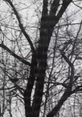 Калибр на подлёте к заданной цели в Днепропетровске