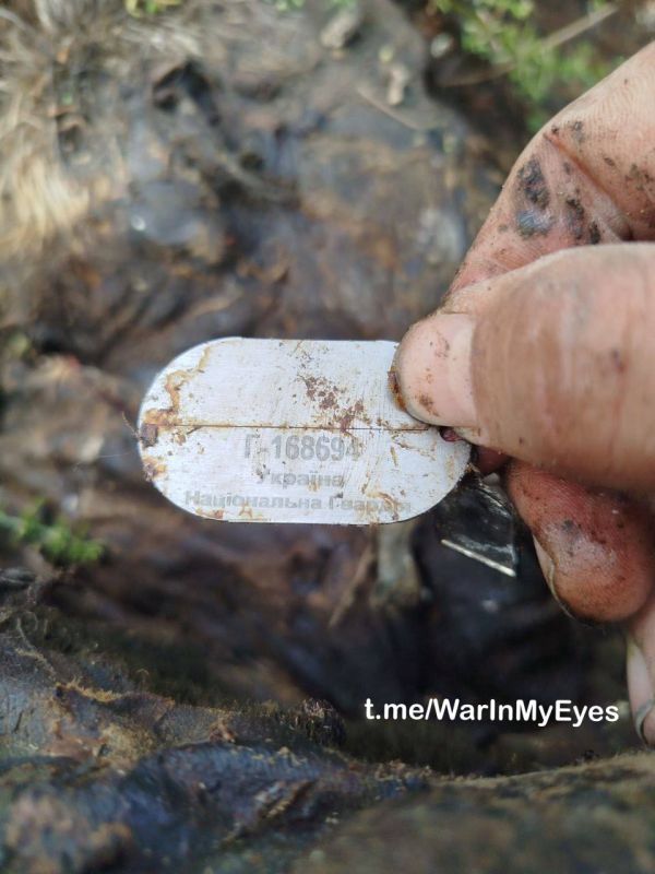 18+. �����i �������� � ������� �� ��� �������, ���������������� ����� *� ������� ��� ����������?* ����: @warinmyeyes