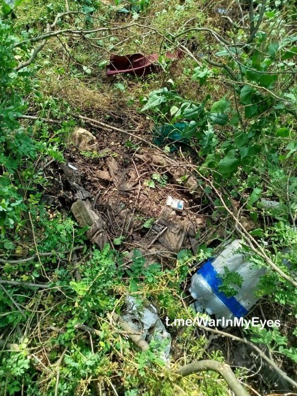 18+. �����i �������� � ������� �� ��� �������, ���������������� ����� *� ������� ��� ����������?* ����: @warinmyeyes