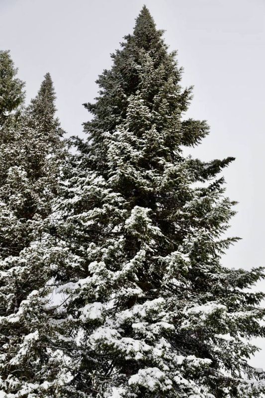 �������� �������: ������ ������ ��� �� ������ ������