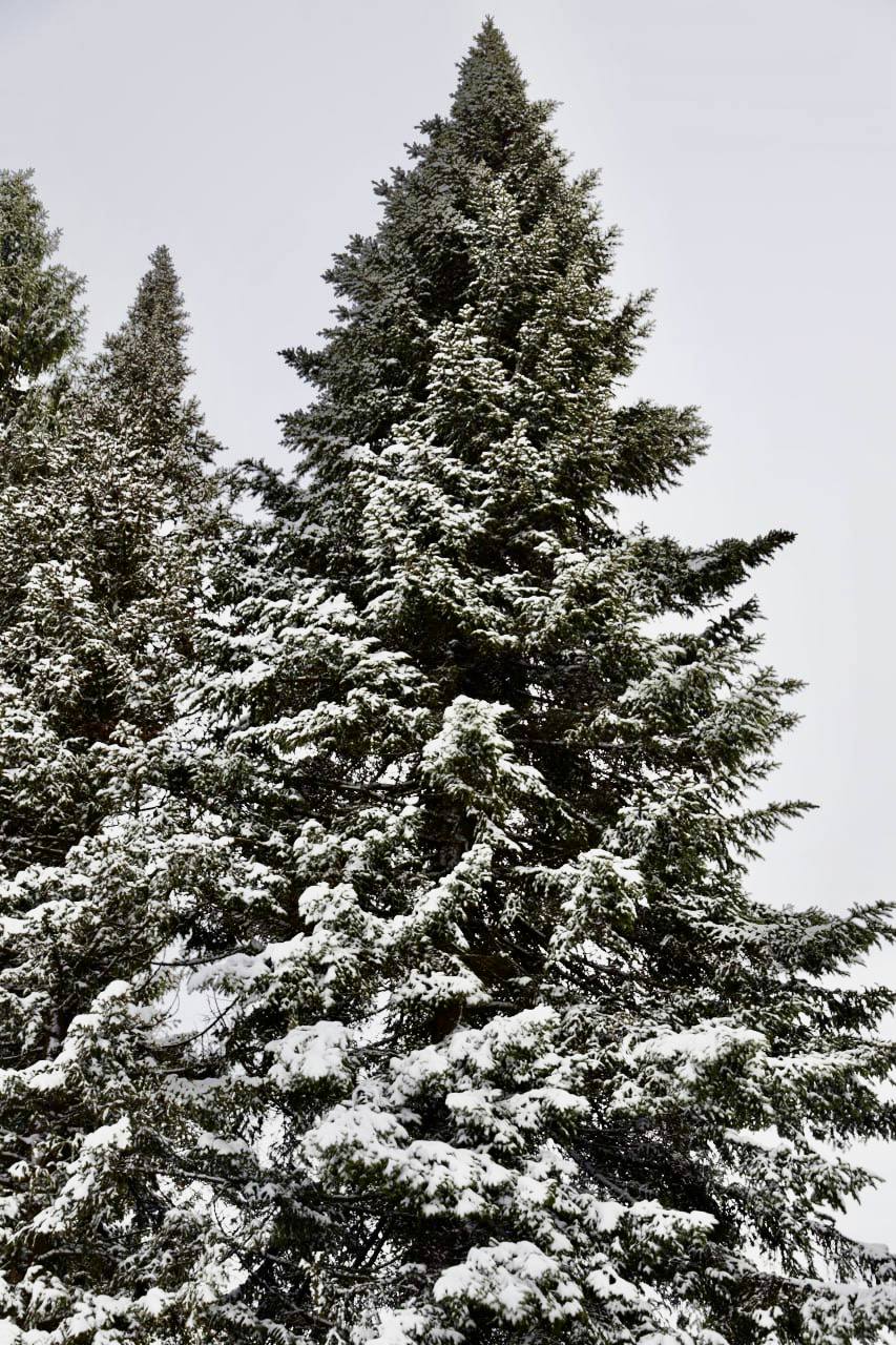 Вячеслав Володин: Первые зимние дни на истоке Днепра Вячеслав Володин: Первые зимние дни на истоке Днепра