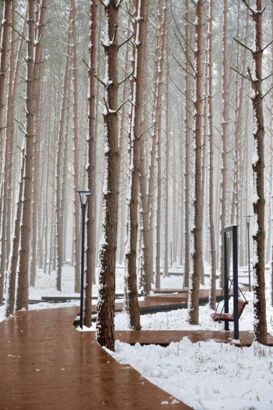 �������� �������: ������ ������ ��� �� ������ ������