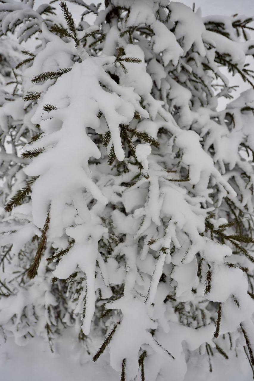 Вячеслав Володин: Первые зимние дни на истоке Днепра Вячеслав Володин: Первые зимние дни на истоке Днепра