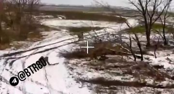 Группировка ЦЕНТР наступает в Днепропетровской области и штурмуют Димитров