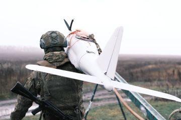 ����� ����������: ������� �������� � ���������� ������������� ������-10� �� ���������������� �����������