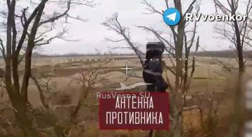 �������� �������� ���������� ����� �� ��������, �������� ��������� ��������� � ��������� � ���������������� �������