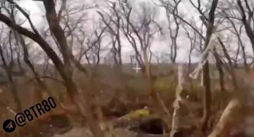 ����������� ����� ��������� � ���������������� ������� � �������� ��������