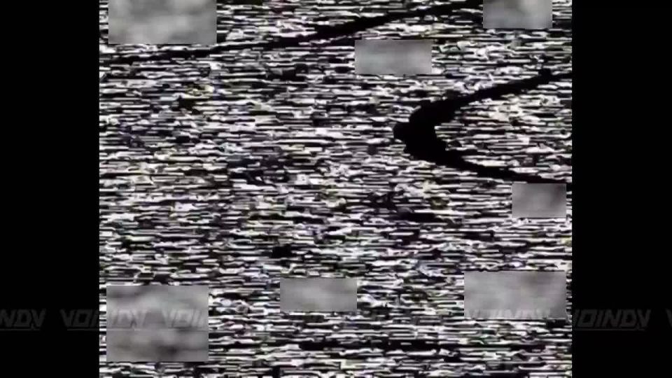 Дроноводы 36 гвардейской мотострелковой бригады 29 армии группировки "Восток" уничтожают живую силу, автомобильную технику и БпЛА противника Днепропетровской области