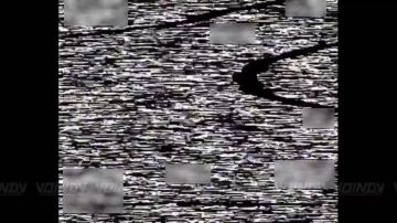 ��������� 36 ����������� �������������� ������� 29 ����� ����������� "������" ���������� ����� ����, ������������� ������� � ���� ���������� ���������������� �������