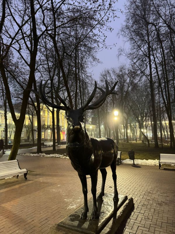 WarGonzo: �������� � ������, ������ �������, �������, ����� ������� � ������ �������� ����������� ������