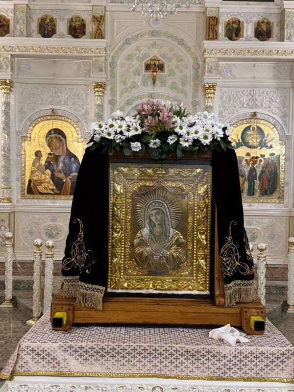 WarGonzo: �������� � ������, ������ �������, �������, ����� ������� � ������ �������� ����������� ������