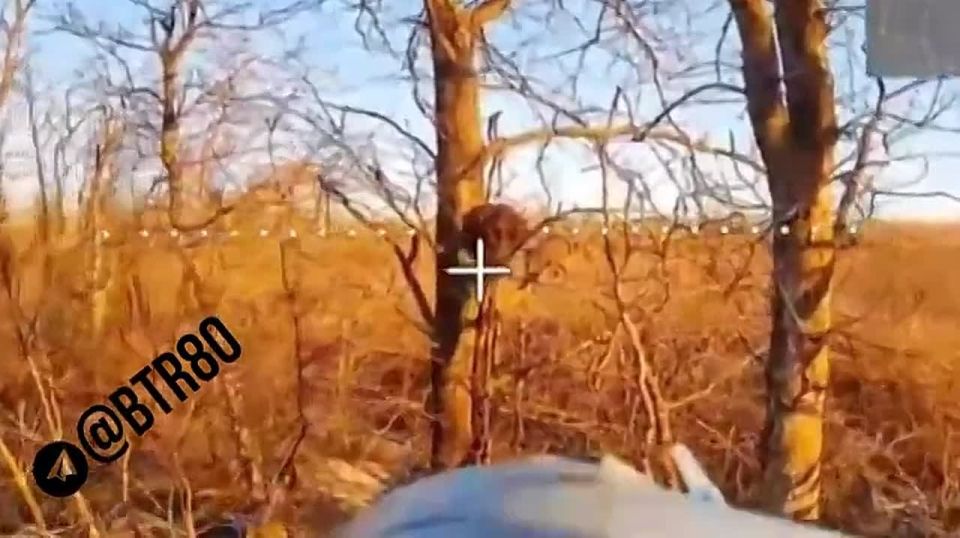 Группировка ЦЕНТР наступает в Днепропетровской области и зачищает окруженный Димитров