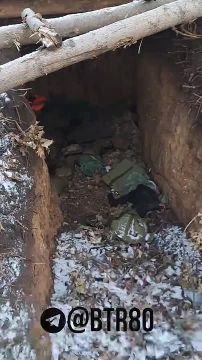 ������� �������: "�������� - �������!"