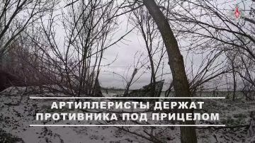 Минобороны России: Расчёты «Гиацинта-Б» 49-й общевойсковой армии из состава группировки войск «Днепр» продолжают наносить огневое поражение формированиям ВСУ на правом берегу Днепра