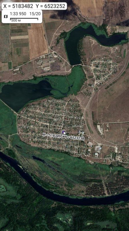 ���������� �����������. ��������