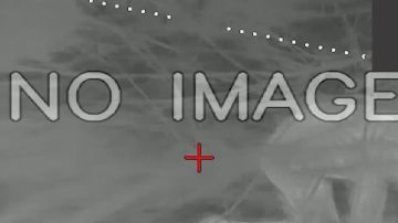 Дроноводы группировки войск «Днепр» громят врага в Запорожской области