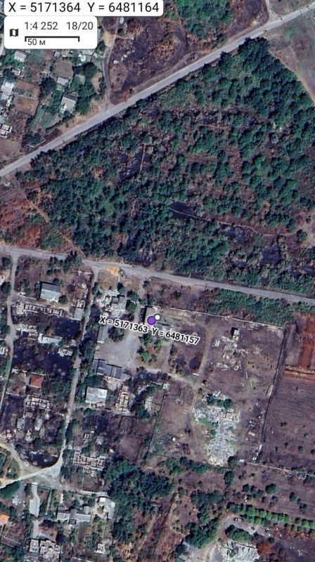 ������. ������� ����