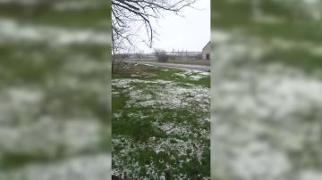 Александр Коц: Как взяли Братское. Видео. Бойцы 36-й отдельной гвардейской мотострелковой бригады 29-й армии группировки войск «Восток» вспоминают, как освободили село Братское в Покровском районе Днепропетровской области